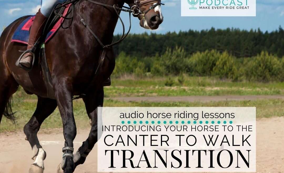 1257 Introducing Your Horse to the Canter to Walk Transition