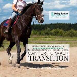 1257 Introducing Your Horse to the Canter to Walk Transition