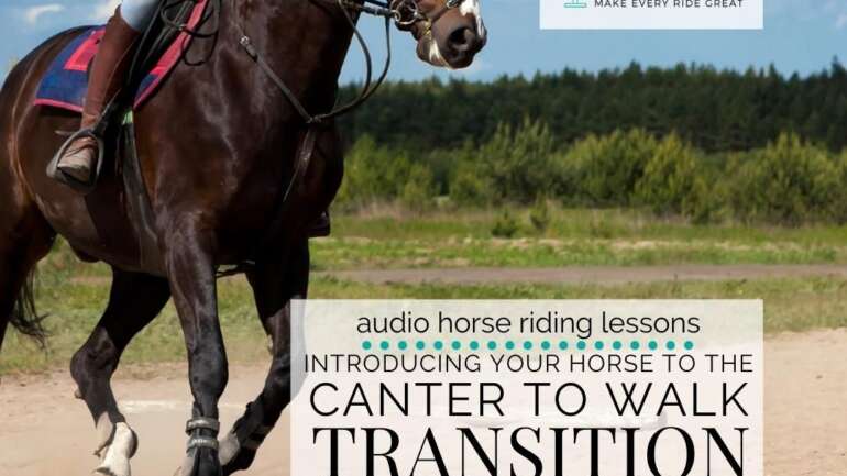 Introducing the Canter to Walk Transition