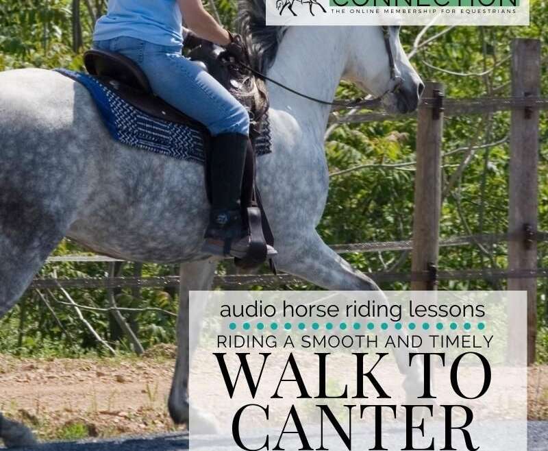 Riding a Smooth and Timely Walk to Canter Transition