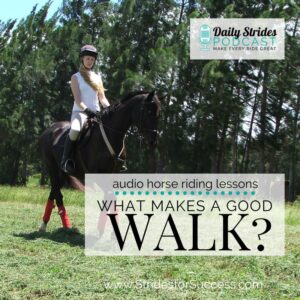 WHAT MAKES A GOOD WALK Audio Horse Riding Lessons