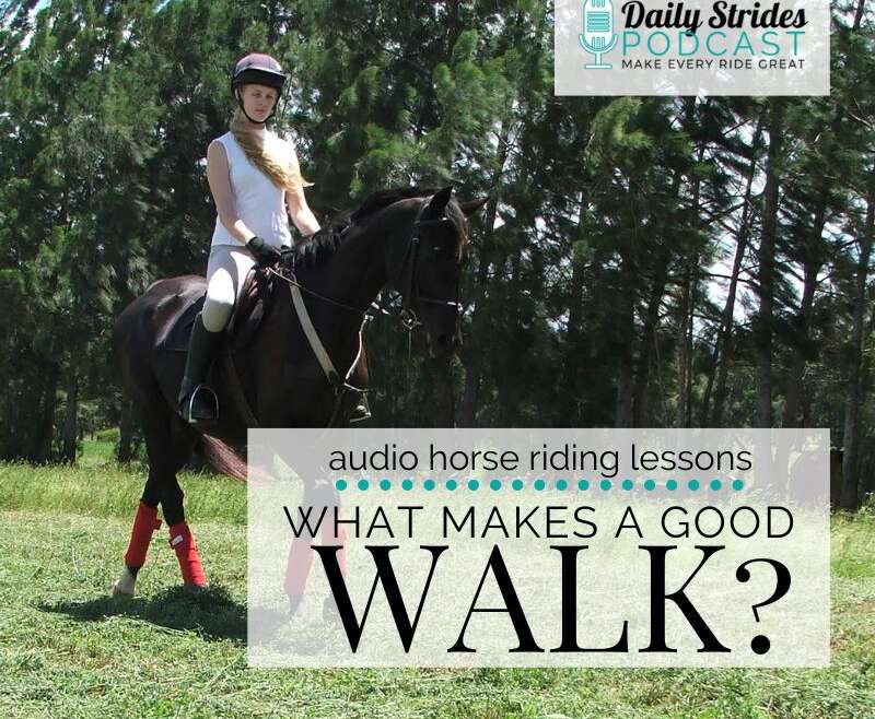 WHAT MAKES A GOOD WALK Audio Horse Riding Lessons