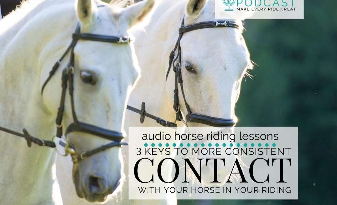 1258 3 Keys To More Consistent Contact in Your Riding