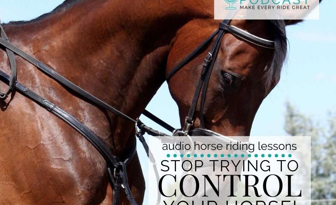 1261 Stop Trying to Control Your Horse!