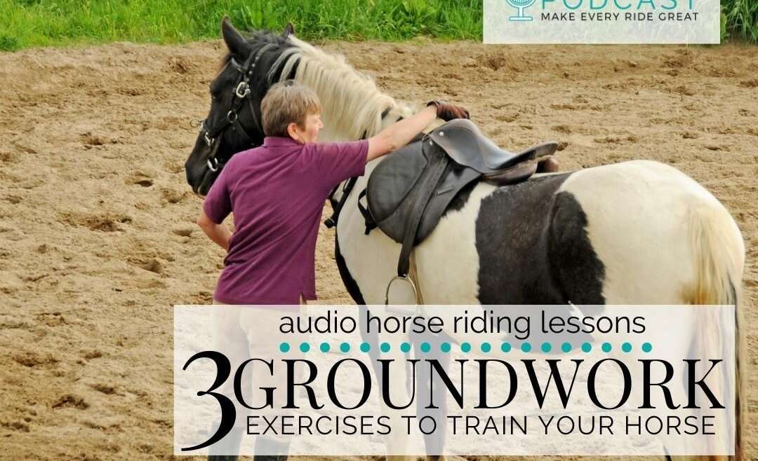 1262 3 Groundwork Exercises to Train Your Horse