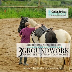 1262 3 Groundwork Exercises to Train Your Horse