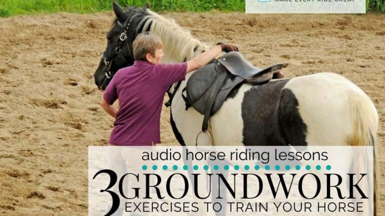 3 Groundwork Exercises to Train Your Horse
