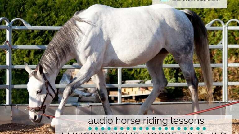 Using Lunging to Help Your Horse Build Responsibility