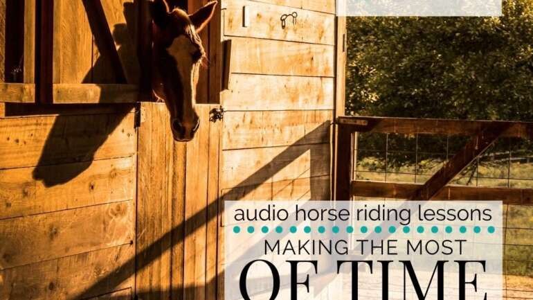 Making the Most of Time with Your Horse