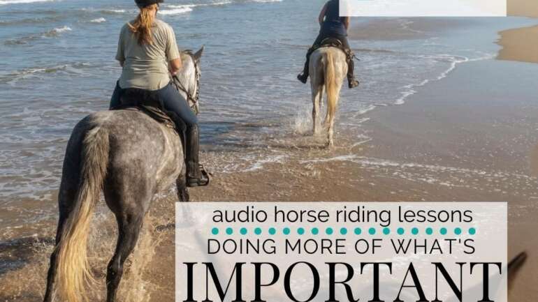 What is ‘Doing It’ for You and Your Horse?