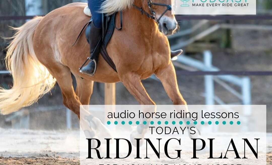 1269 - Today's Riding Plan for You And Your Horse