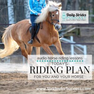 A Riding Plan for Today for You & Your Horse - Strides for Success