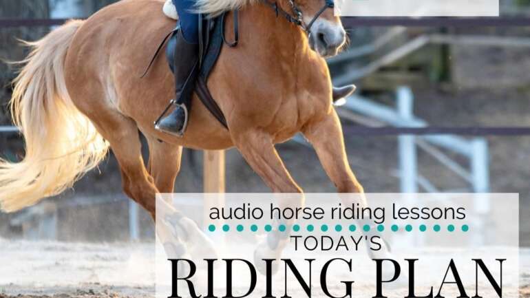 Today’s Riding Plan for You and Your Horse…
