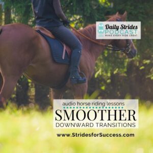 1280 Riding Smoother Downward Transitions