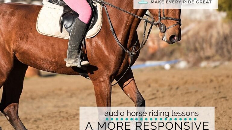 Creating a More Responsive Transition into the Canter