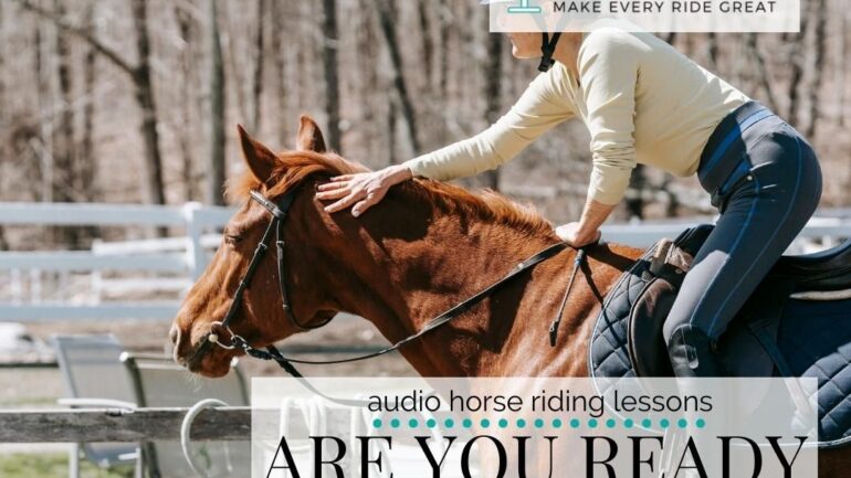 Are You Ready for Training Your Horse?