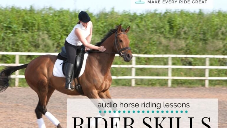 Rider Skills Necessary to Train or Retrain Your Horse