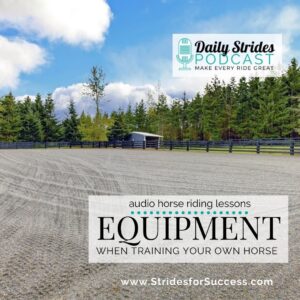 1291 Equipment When Training Your Own Horse