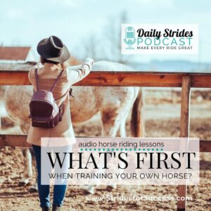 1292 What's First When Training Your Own Horse