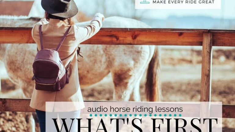 What Comes First When Training Your Horse?