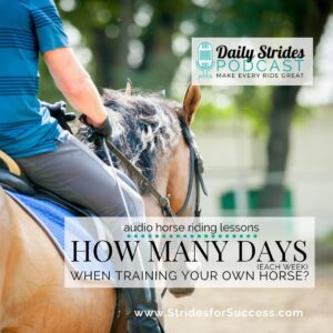 1293 How Many Days Per Week When Training Your Own Horse