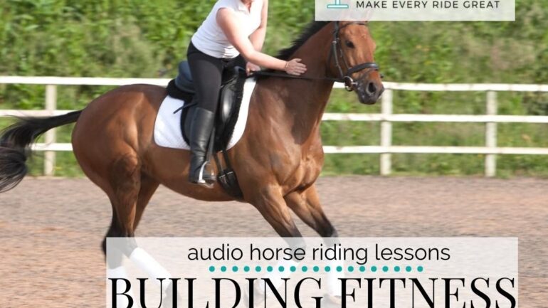 Building Your Horses Fitness (coming back to work after a long break)