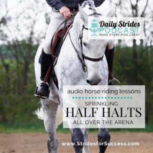 1296 - Sprinkling Half Halts All Over the Arena