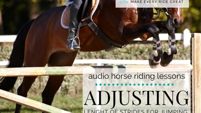 Adjusting the Length of Your Horse’s Stride for Jumping