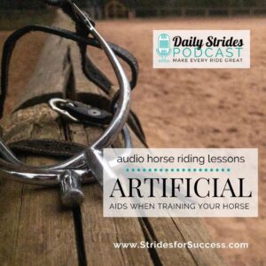1299 - Using Artificial Aids when Training Your Horse
