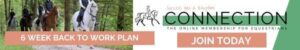 Connection; The Online Membership for Equestrians Working Alone without a Trainer or Coach