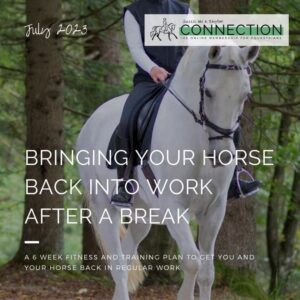 Connection; The Online Membership for Equestrians Training Alone without a Trainer or Coach