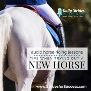1327 Tips when Trying Out a New Horse