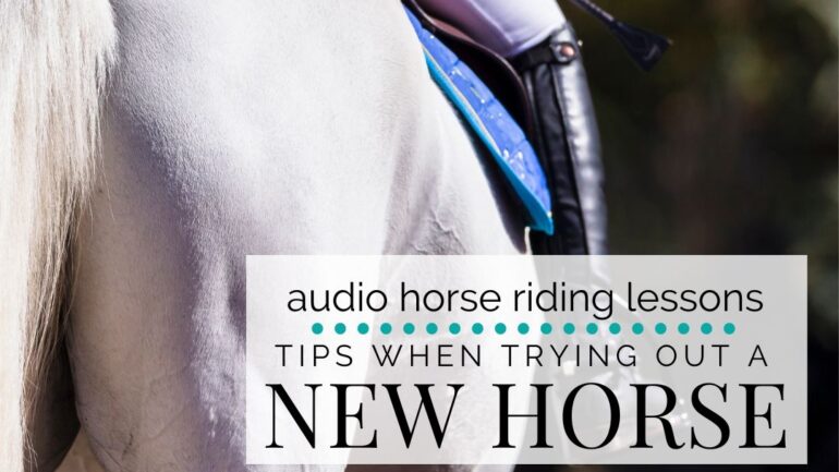 Tips When Trying Out a New Horse