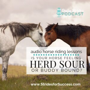 1328 Is Your Horse Herd Bound or Buddy Sour