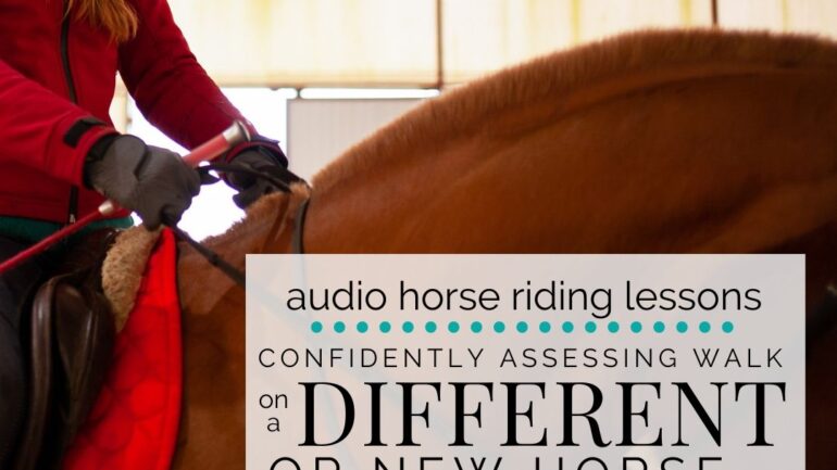 Confidently Assessing Walk on a Different or New Horse