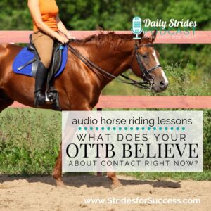 1332 What Does Your OTTB Believe About Contact Right Now