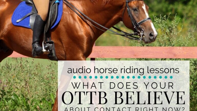 What Your OTTB Believes About Contact Right Now…