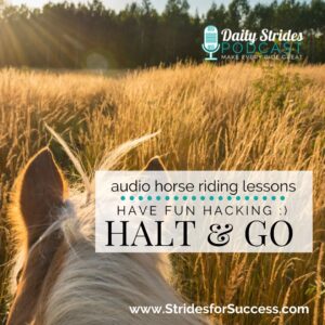 1337 Have Fun Hacking_ Halt and Go