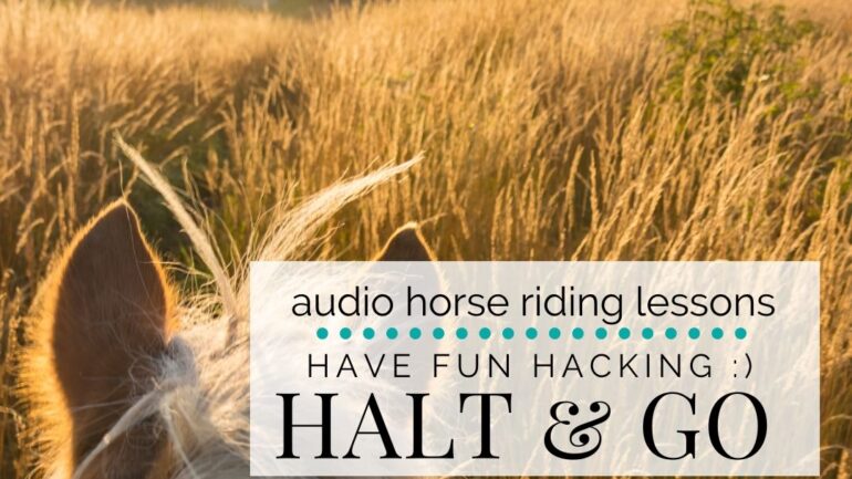 Have Fun Hacking; Halt & Go…