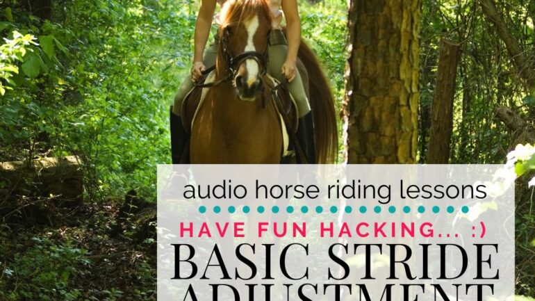 Have Fun Hacking – Getting Started with Stride Adjustment in Walk and Trot