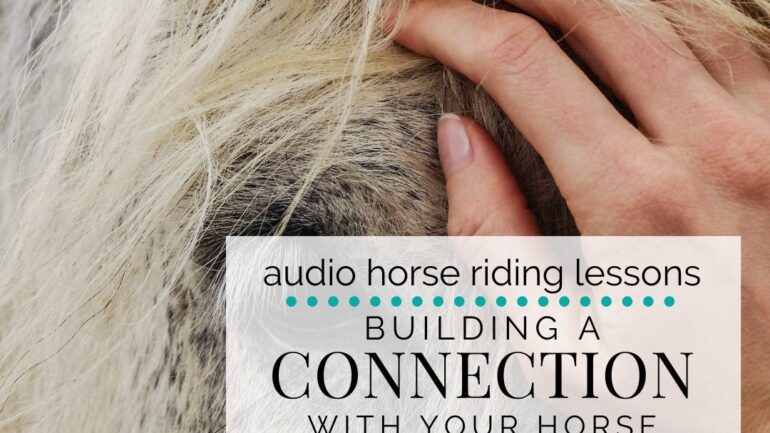 Building a Connection with Your Horse