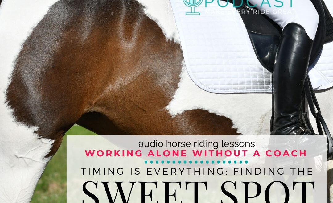 1379 Timing Is Everything - FInding the Sweet Spot for Half Halts