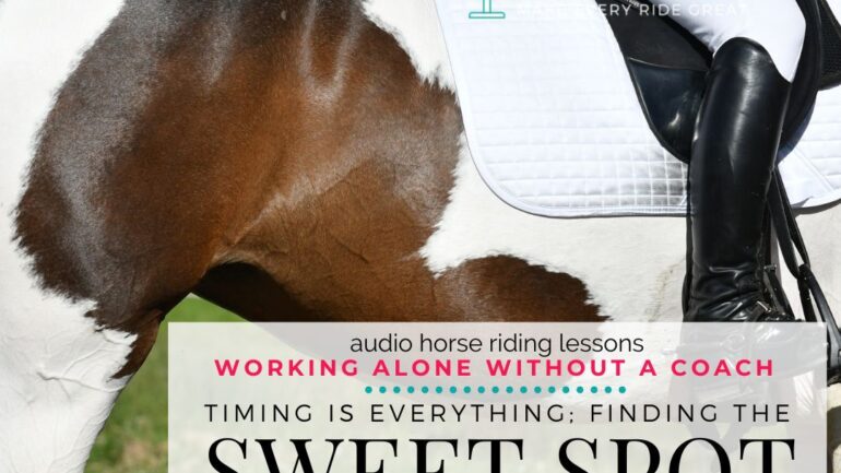 Timing Is Everything: Finding the Sweet Spot for Half Halts