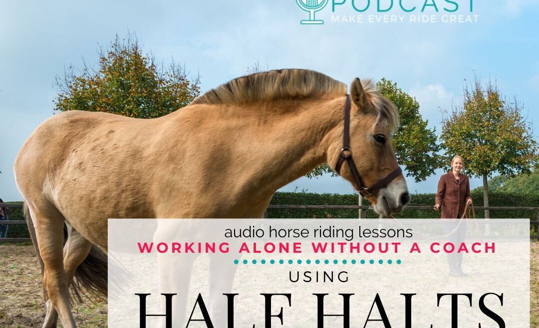 1380 Using Half Halts on the Lunge to Build Balance