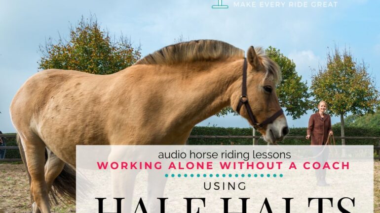 Using Half Halts on the Lunge to Build Balance