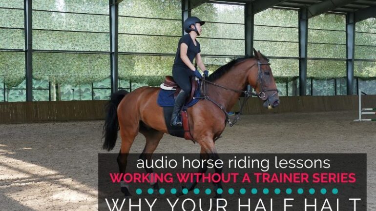 Why Your Half Halt Isn’t Working