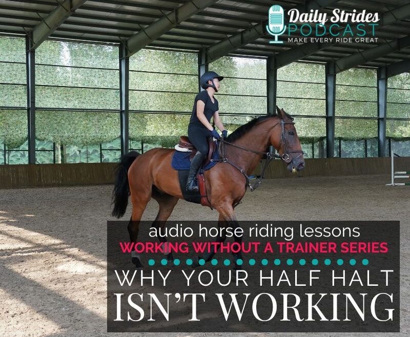 1383 Why Your Half Halt Isn’t Working