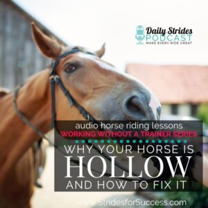 1384 Why Your Horse is Hollow and How to Fix it