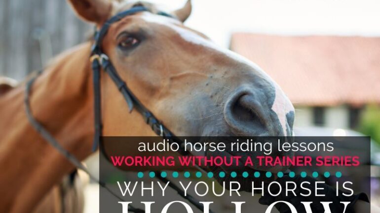 Why Your Horse Is Hollow and How to Start Fixing It