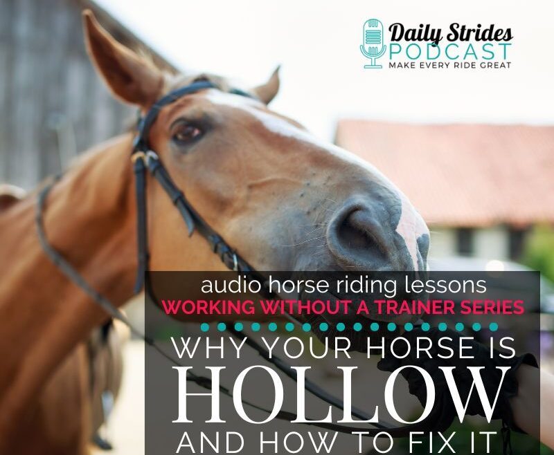 1384 Why Your Horse is Hollow and How to Fix it